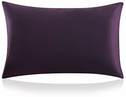 Picture of ZIMASILK 100% Mulberry Silk Pillowcase for Hair and Skin Health,Both Sides 19 Momme Silk,1pc (King 20''x36'', Eggplant Purple)
