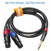 Picture of DISINO Dual Female XLR to 1/4 inch(6.35mm) TRS Stereo Male Plug Y-Splitter Cable, Unbalanced 2-XLR Female to Quarter inch Adapter Patch Cord - 6.6 Feet /2 Meters