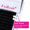 Picture of Lash Extensions D Curl FADLASH Eyelash Extensions 0.20 Premium Black Matte Classic Silk Eyelash Extensions (0.20-D, 12mm)