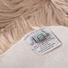 Picture of Ashler Soft Faux Sheepskin Fur Chair Couch Cover Area Rug for Bedroom Floor Sofa Living Room Beige Rectangle 2.2 x 4 Feet