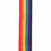 Picture of D'Addario Polypropylene Guitar Strap, Rainbow