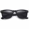 Picture of Polarspex Polarized 80's Retro Classic Trendy Stylish Sunglasses for Men Women