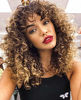 Picture of PRETTIEST Afro curly Wig Ombre Blonde Wig with Bangs for Black Women Natural Looking for Daily Wear (Color: 33/27)