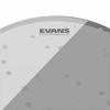 Picture of Evans Hydraulic Glass Drum Head, 10 Inch