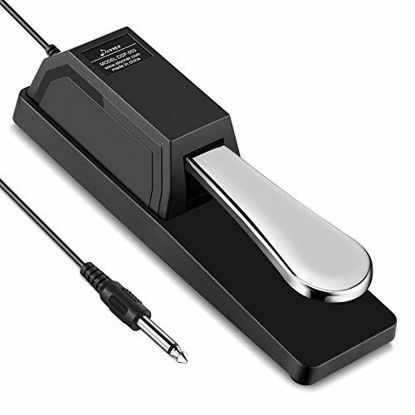 Picture of Donner DSP-003 Universal Sustain Pedal with Polarity Switch for MIDI Keyboards, Digital Pianos, Synth (1/4 Inch Jack)