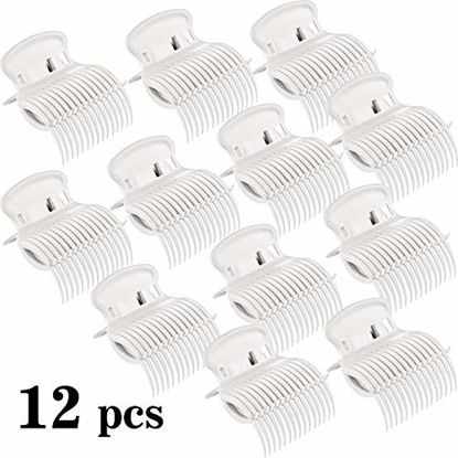 Picture of 12 Pieces Hot Roller Clips Hair Curler Claw Clips Replacement Roller Clips for Women Girls Hair Section Styling(White)