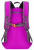 Picture of Venture Pal 40L Lightweight Packable Travel Hiking Backpack Daypack, B1 Purple, One Size