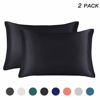 Picture of EXQ Home Satin Pillowcase for Hair and Skin, Black Pillow Cases Queen Size Set of 2 with Envelope Closure (20x30 Inches)