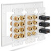 Picture of 3 Gang Wall Plate, Fosmon (3-Gang 7.2 Surround Sound Distribution) Home Theater Copper Banana Binding Post Coupler Type Wall Plated for 7 Speakers, 2 RCA Jacks for Subwoofers & 3 HDMI Ports