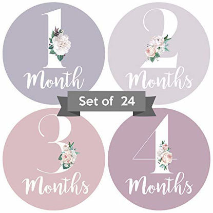 Picture of Baby Monthly Stickers | Floral Baby Milestone Stickers | Newborn Girl Stickers | Month Stickers for Baby Girl | Baby Girl Stickers | Newborn Monthly Milestone Stickers (Set of 24)