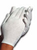 Picture of Cara Moisturizing Eczema Cotton Gloves, Medium, 24 Pair