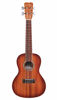 Picture of Cordoba 15CM-E Edge Burst Acoustic-Electric Concert Ukulele