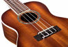 Picture of Cordoba 15CM-E Edge Burst Acoustic-Electric Concert Ukulele