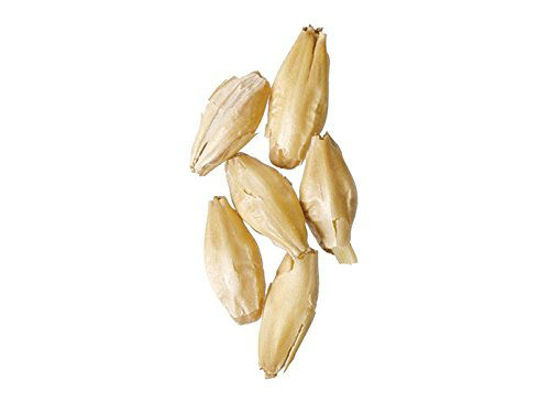 Picture of Malt - 2-Row Pale - 5 lb