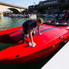 Picture of Boat Bling Hot Sauce Premium Hard Water Spot Remover w/High-Gloss Wax Sealants, 32 oz.