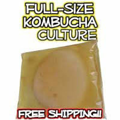 https://www.getuscart.com/images/thumbs/0524686_kombucha-scoby-starter-tea-by-poseymom-no-vinegar-or-artificial-flavors-added-make-12-gallon-12cup-s_415.jpeg