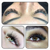 Picture of Volume Lash Extensions .03 .05 .07 Easy Fan Volume Lashes C D curl Flowering Lash Extensions Mega Volume Lash Extensions 10-19mm Length D-0.05-16