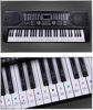 Picture of Piano Keyboard Stickers for 88/61/ 54/49 Key,Colorful Transparent Removable for kids Beginners (Mix Color)