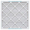 Picture of Aerostar Allergen & Pet Dander 24x24x1 MERV 11 Pleated Air Filter, Made in the USA, 6-Pack