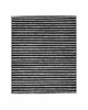 Picture of Spearhead Premium Breathe Easy Cabin Filter, Up to 25% Longer Life w/Activated Carbon (BE-775B)