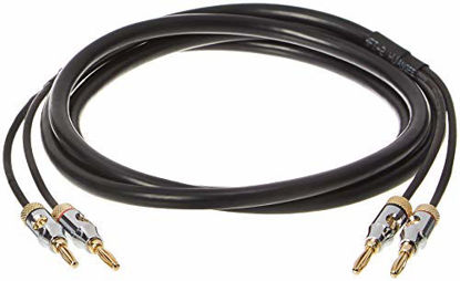 Picture of Amazon Basics Speaker Cable with Gold-Plated Banana Tips - CL2 - 99.9% Oxygen Free - 6-Foot