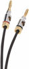 Picture of Amazon Basics Speaker Cable with Gold-Plated Banana Tips - CL2 - 99.9% Oxygen Free - 6-Foot