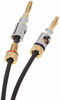 Picture of Amazon Basics Speaker Cable with Gold-Plated Banana Tips - CL2 - 99.9% Oxygen Free - 6-Foot