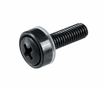 Picture of Gator Rackworks Standard Size Rack Screws; 100 Pack (GRW-SCRW100)