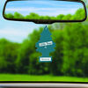 Picture of Little Trees Car Air Freshener 6-Pack (Rainshine)