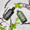 Picture of Paul Mitchell Tea Tree Lavender Mint Moisturizing Shampoo