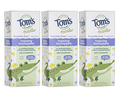 Picture of Tom's of Maine Fluoride-Free Toddler Training Toothpaste, Mild fruit, 1.75 Fl Oz (Pack of 3), 5.25 Ounce