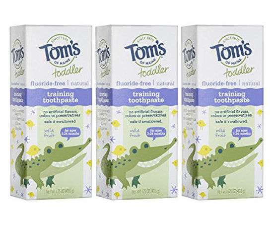 Picture of Tom's of Maine Fluoride-Free Toddler Training Toothpaste, Mild fruit, 1.75 Fl Oz (Pack of 3), 5.25 Ounce