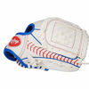 Picture of Rawlings Players Series Youth Tball/Baseball Glove (Ages 3-5)