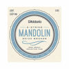 Picture of D'Addario EJ62 80/20 Bronze Mandolin Strings, Light, 10-34