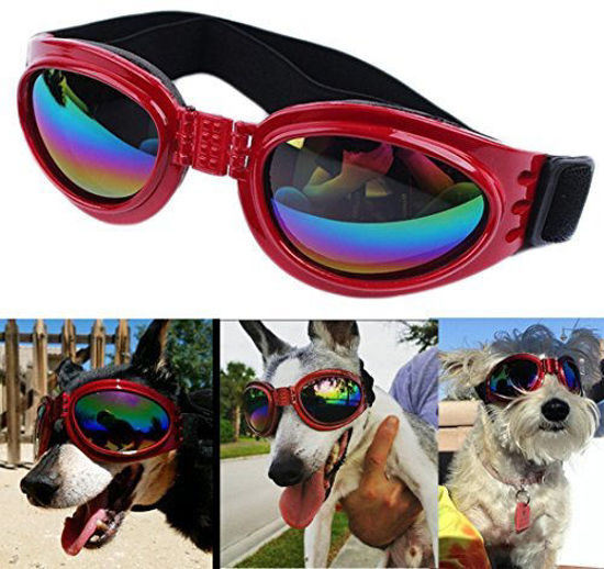 Picture of QUMY QUMY Dog Goggles Eye Wear Protection Waterproof Pet Sunglasses for Dogs About Over 15 Lbs