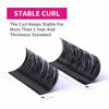 Picture of Lash Extensions D curl 15-20mm FADLASH Eyelash Extensions Mixed Tray Lashes 0.20 Single Classic Lash Extensions Supplies (0.20-D, 15-20mm Mix)