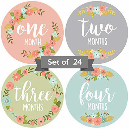 Picture of Baby Monthly Stickers | Floral Baby Milestone Stickers | Newborn Girl Stickers | Month Stickers for Baby Girl | Baby Girl Stickers | Newborn Monthly Milestone Stickers (Set of 24)