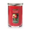 Picture of Yankee Candle Large 2-Wick Tumbler Candle, Macintosh