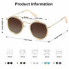 Picture of SOJOS Small Retro Round Polarized Sunglasses UV400 Double Bridge Sunnies SUNSET SJ1104 with Gold Frame/Shiny Crystal Brown Rim/Gradient Brown Lens