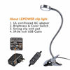 Picture of LEPOWER Clip on Light/Clip on Lamp/Light Color Changeable/Night Light Clip on for Desk, Bed Headboard and Computers (Silver)