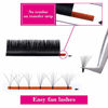 Picture of Eyelash Extensions D Curl 0.07mm Volume Lash Extensions Easy Fan Volume Lashes 8-20mm Self Fanning Lashes (0.07-D, 10mm)