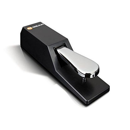 Picture of M-Audio SP 2, Universal Sustain Pedal with Piano Style Action For MIDI Keyboards, Digital Pianos & More