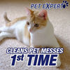 Picture of Resolve Dual Pack Pet High Traffic Carpet Foam, 44 oz (2 Cans x 22 oz), Cleans Freshens Softens & Removes Stains