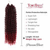 Picture of Passion Twist Hair Ombre Red 18 inch 6 packs Water Wave Crochet Braids for Passion Twist Crochet Hair Passion Twist Braiding Hair Hair Extensions (18", T1B/BUG)