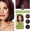 Picture of Naturtint Hair Color 4M Mahogany Chestnut 1 Pack