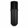 Picture of Stellar X2 Large Diaphragm Cardioid Condenser XLR Microphone