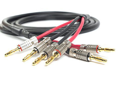 Picture of ChromaLeaf Canare 4S11 Bi-Wire Professional Audio Speaker Cable | 2 Bananas to 4 Bananas | Black | Premium Gold Plated Banana Plugs | 50 Feet | Assembled in the USA