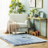 Picture of Ashler Soft Faux Sheepskin Fur Chair Couch Cover Area Rug Bedroom Floor Sofa Living Room Sky Blue 4 x 6 Feet