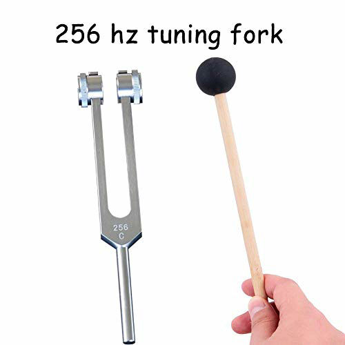 Getuscart Qiyun 256 Hz Tuning Fork 256 Cps Tuning Forks With Fixed