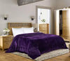 Picture of Utopia Bedding Fleece Blanket Queen Size Purple 300GSM Luxury Bed Blanket Fuzzy Soft Blanket Microfiber